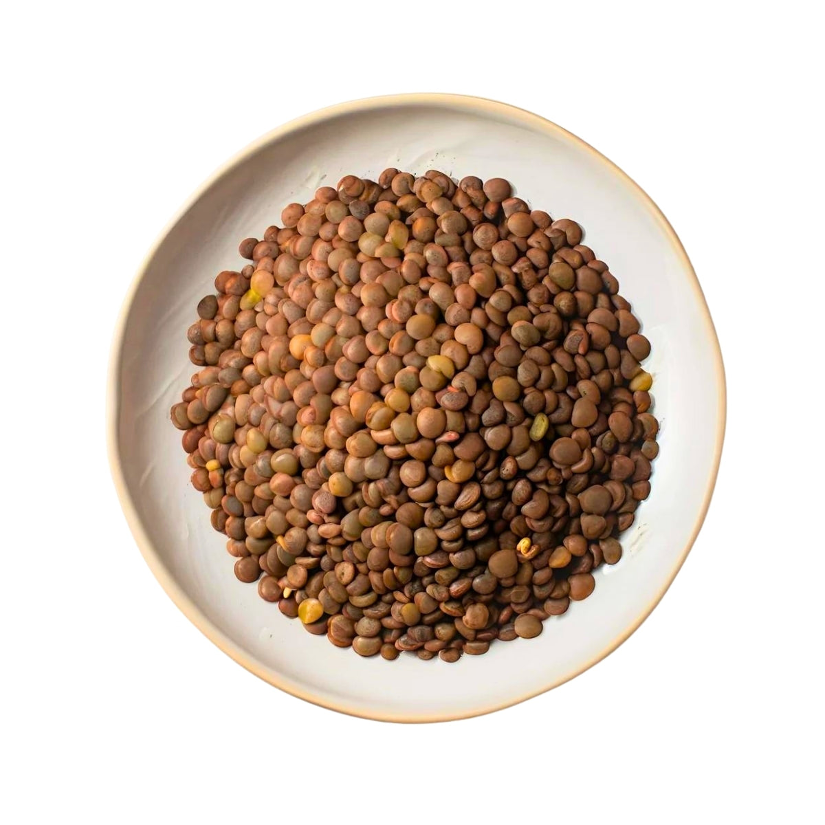 Brown Lentils