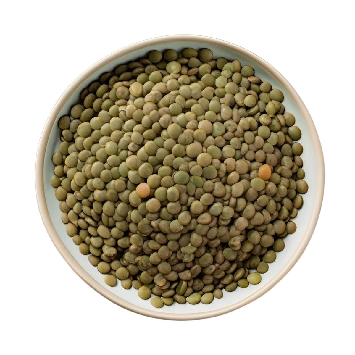 Green Lentils