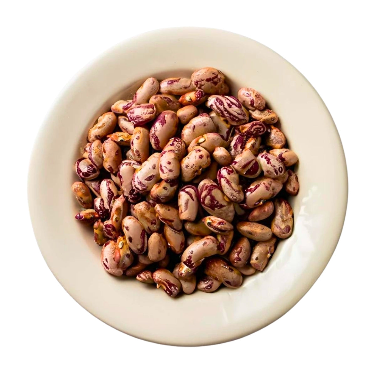 Pinto Beans