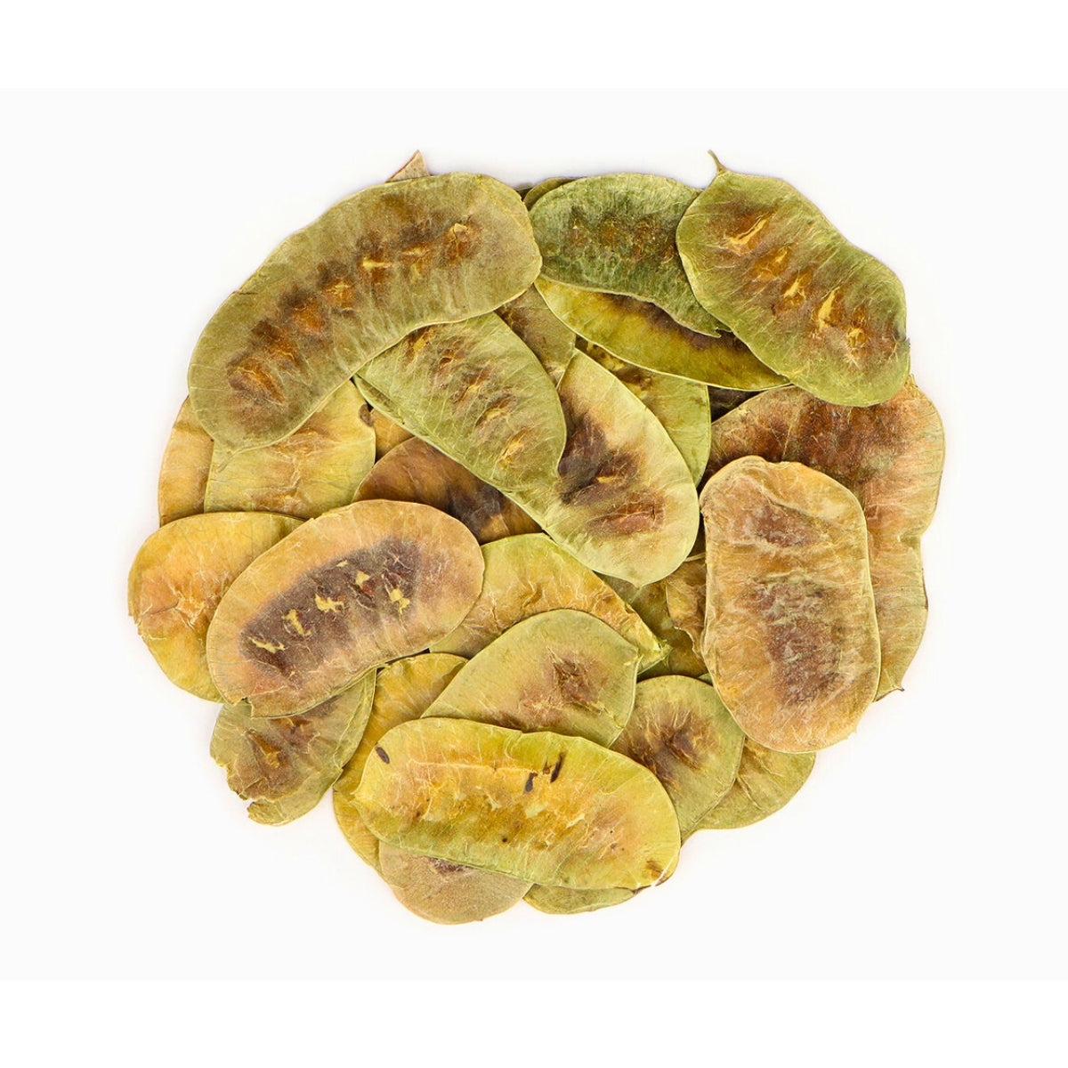 Senna Pods