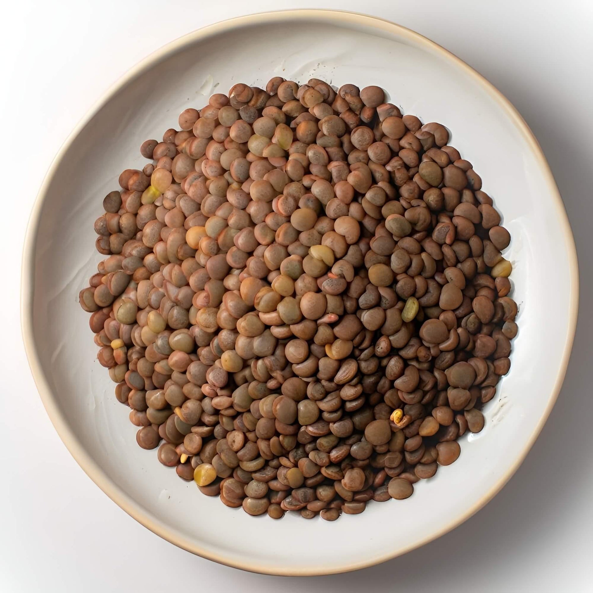 Brown Lentils - Nutrient-Packed Legumes for Healthy Meals | Britnuts