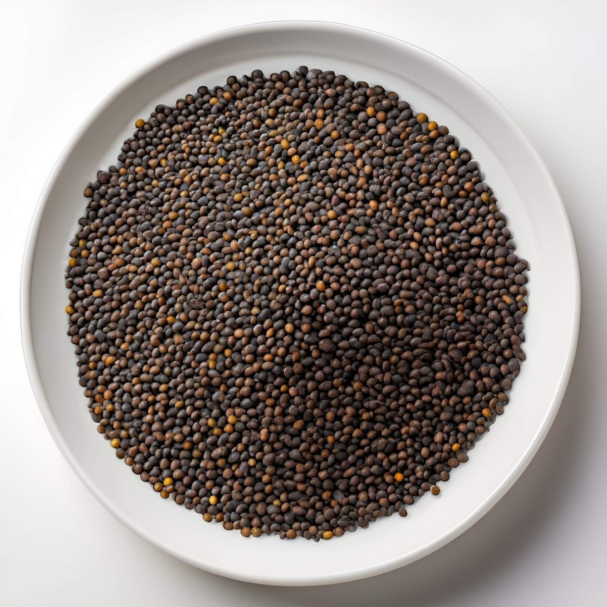 Brown Mustard Seeds - Adds Bold Flavor to Diverse Dishes | Britnuts