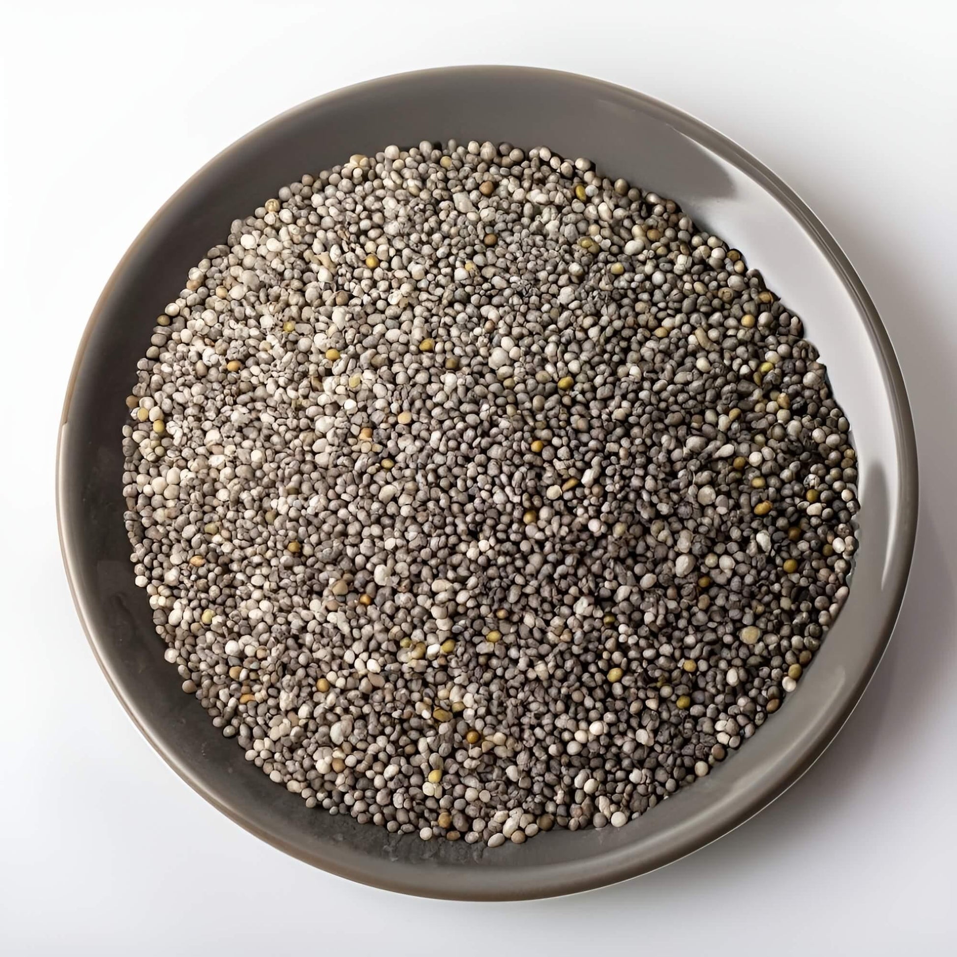 Chia Seeds - Nutrient-Packed and Great for Health-Conscious | Britnuts