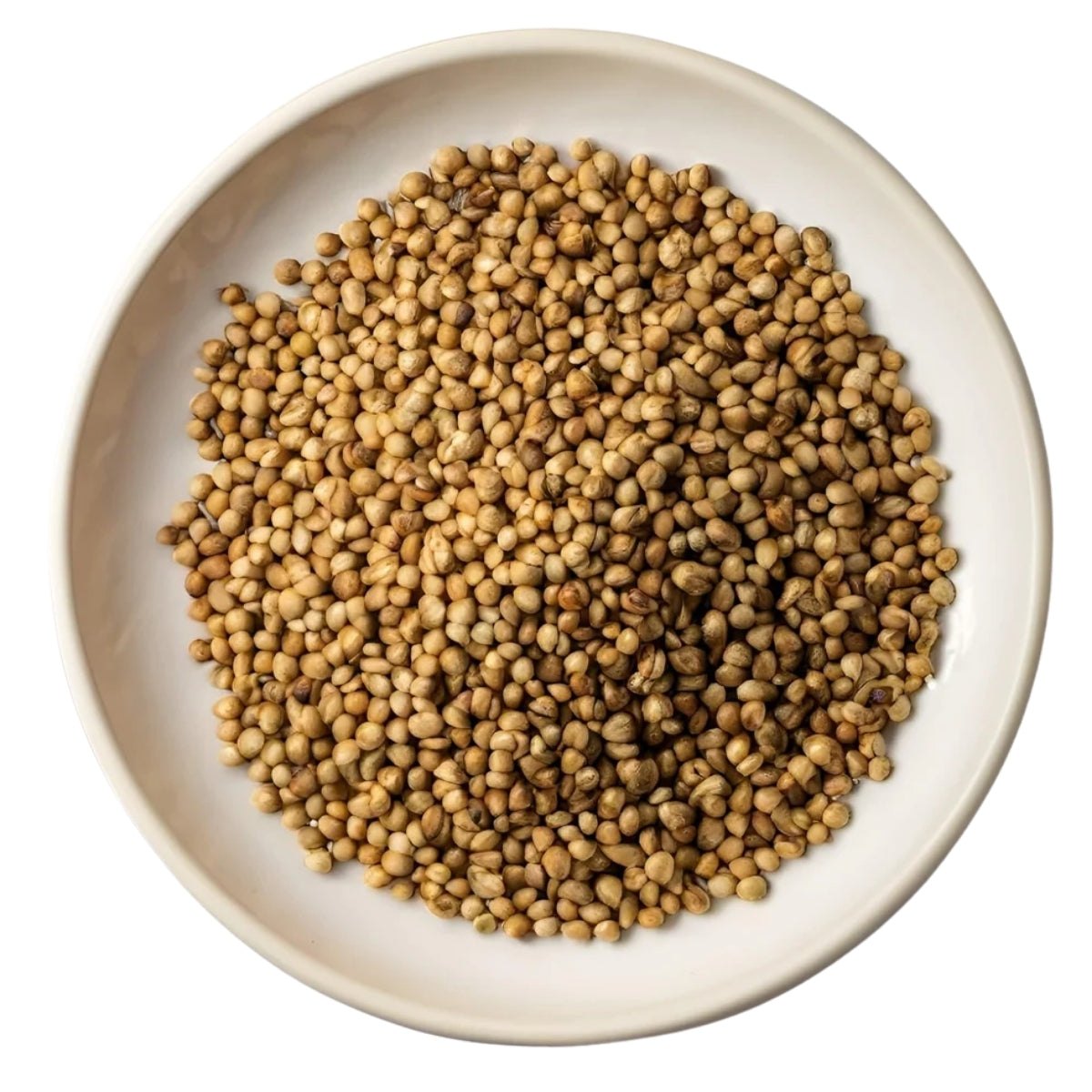 Coriander Seed (Dhaniya)
