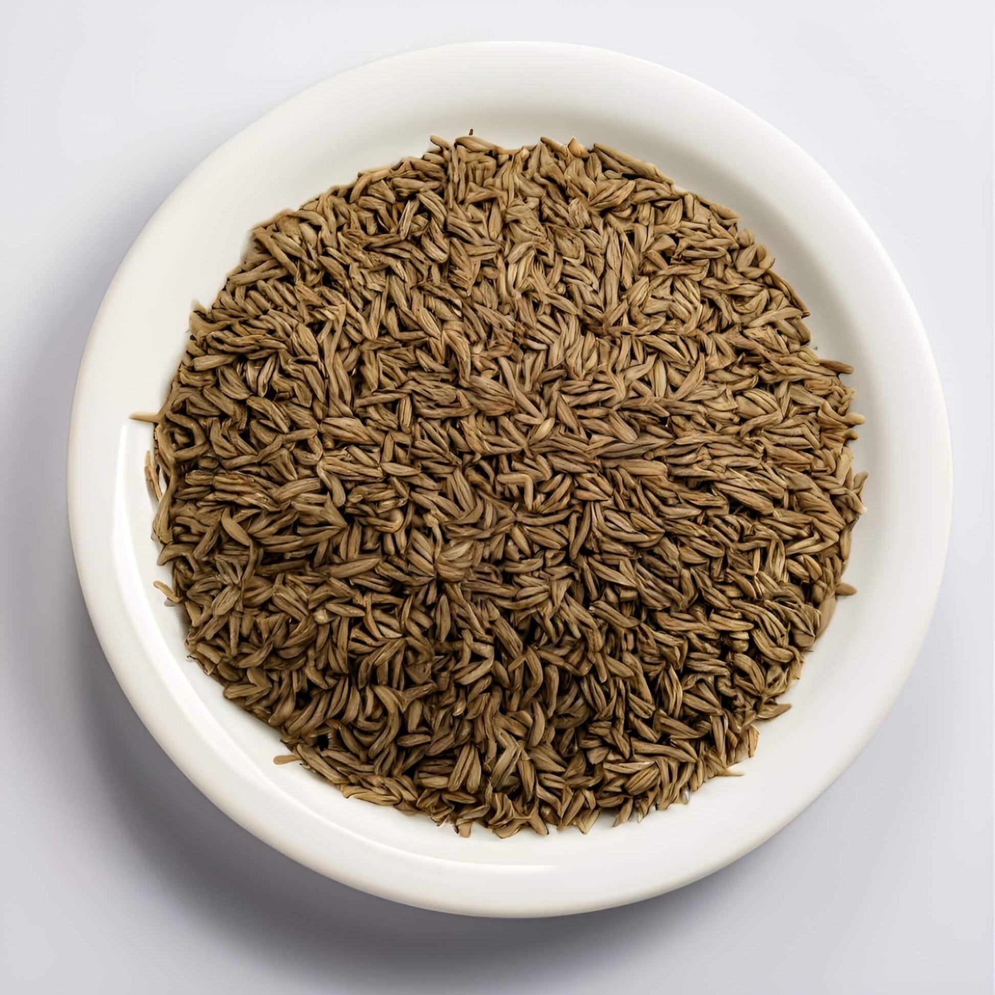 Cumin Seed - Aromatic Spice for Flavorful Dishes | Britnuts