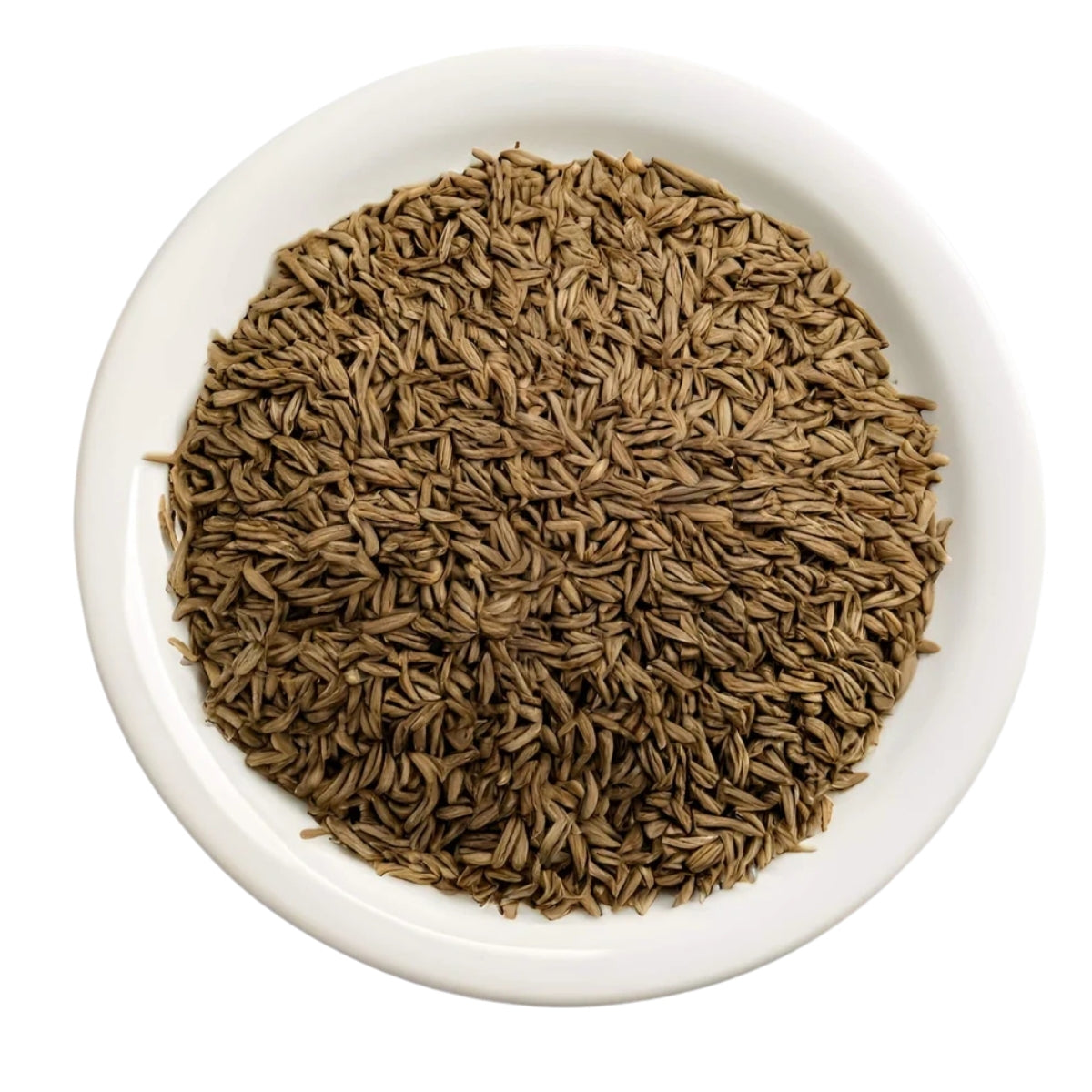 Cumin Seed