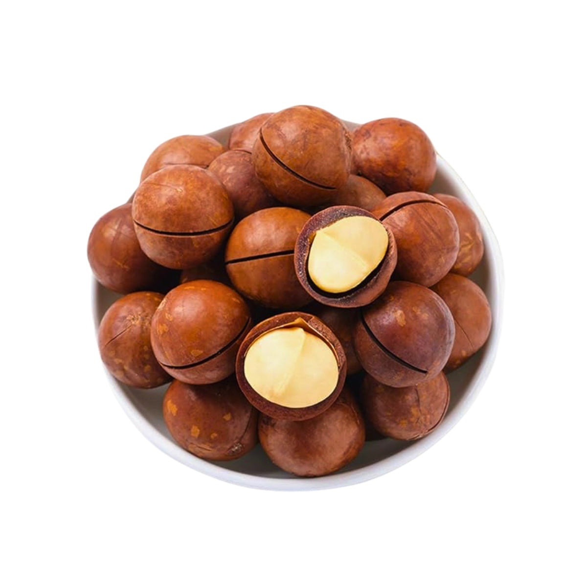 Macadamia in Shell