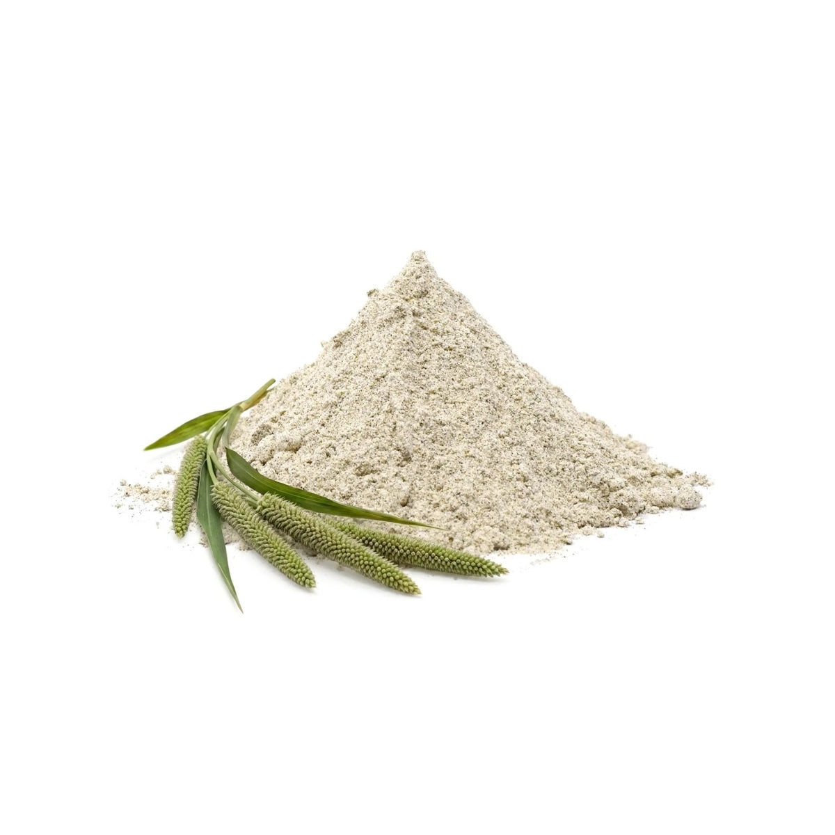 Sorghum Flour (Jowar)